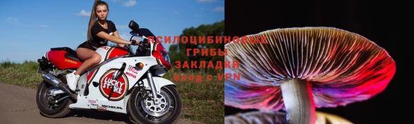ECSTASY Баксан