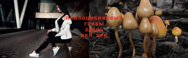 а пвп мука Балахна