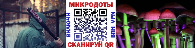 хочу наркоту  Ахтырский  Галлюциногенные грибы MAGIC MUSHROOMS 